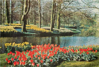 Jardim do Keukenhof — Lisse, Holanda — Planeta, n° 6703