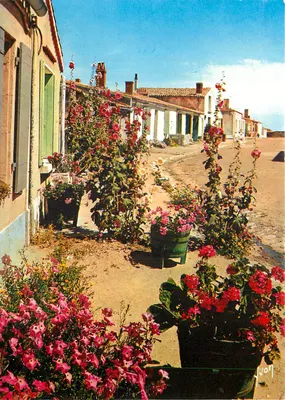 A Ilha d'Aix — um dos muitos aspectos pitorescos — Éditions d'Art Yvon, Paris