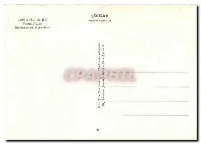 Wyspa Ré — Stary Studzienka — Rhétaise w Kiss-Not — Édicap — Rewers