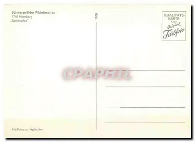 Exposição de cogumelos Schwarzwälder Pilzlehrschau — exposição micológica — 1108 — Verso