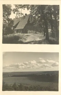 Casa na floresta — paisagem rural
