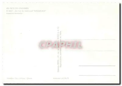 Festiwal Kougelhof — W Kraju Cigogon — Wydawca Estel, nr H.8807 — Rewers