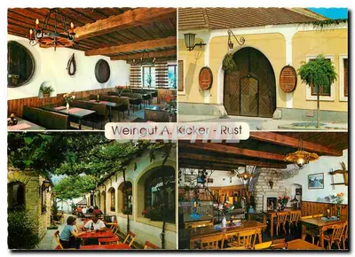 Weingut A. Kicker - Rust — vista interna e externa do domaine viticole