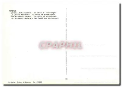 David di Michelangelo — statua nella Galleria dell'Accademia — editore De Maria, n° 50 — Verso