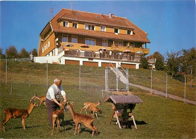 Hotel-Café-Pensão WALDLUST — Haußern, 950-1150 m — de-o-color