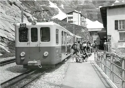 Pociąg do Petite Scheidegg — stado psów polarnych — fot. J.-L. Rochaix, nr 188.9 JB