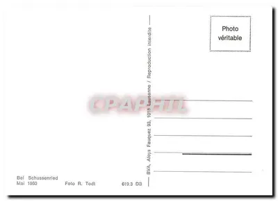 Trem a vapor — Schussenried — Foto Aloys Todt, n° 619.3 DB — Verso
