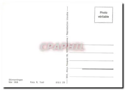Dürmentingen — lokomotywa parowa n° 99 637 — Foto R. Todt, n° 619.9 — Rewers