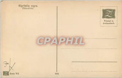 Nigritella nigra — flores ruivas em meio alpino — editor NLG, série Wd 2055 — Verso