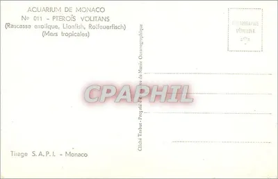 Duas peixes-leões — Aquário de Mônaco — Tirage S.A.P.I. - Mônaco — Verso
