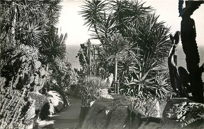 Jardim exótico — Principado de Mônaco — Edições S.E.P.T. - NICE