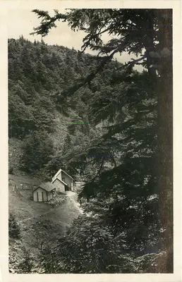 Fundo da vale Schlucht Baerenbach — vista da vallée — Félix Lüth, editor, Strasbourg