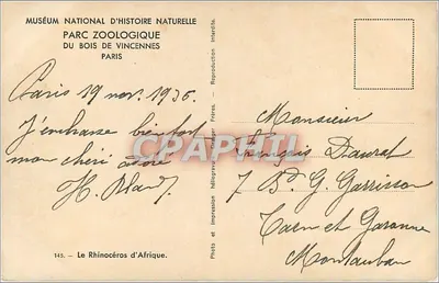 Rhinocerus afrykański — Muzeum Narodowe Historii Naturalnej, ZOO Bois de Vincennes — reprodukcja heliograficzna — Rewers