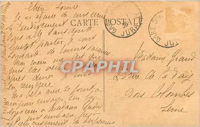 Las LEVIER (Doubs) — Sosna Prezydent — Gulle Mapier — Rewers