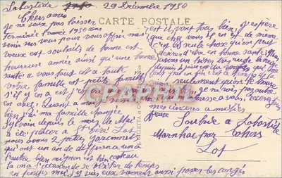 NICE - Widok ogólny między sosnami na Mont Boron — Wydawnictwo L. P. n°17 — Rewers