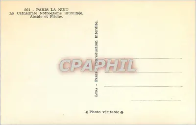 Parigi la Notte — La Cattedrale di Notre-Dame illuminata. Abside e Freccia — Lyna — Verso