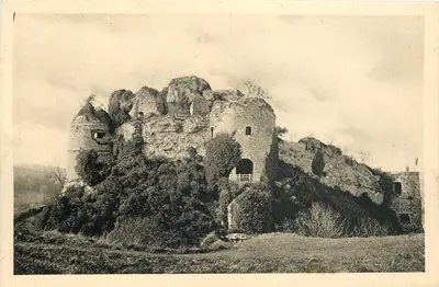 Castelo de Arques-la-Bataille — Vista geral — Service Commercial Historiques, Paris