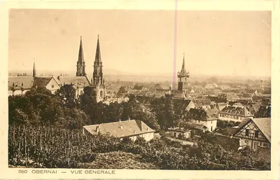 Obernai — Vista Geral — Coleção L'Alsace