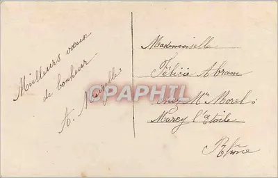 Zasnieżony las — dekor z hortensji — Yolande, n°5 — Rewers