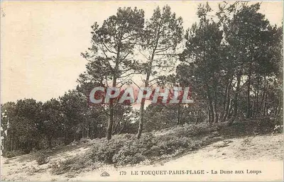 Le Touquet-Paris-Plage — A Duna dos Lobos — editor Cité Alsacienne des Arts Photomécaniques, Strasbourg