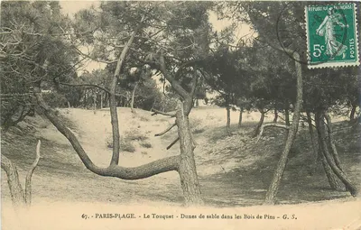 Le Touquet - Dunas de areia nos Bosques de Pinheiros — G. S.
