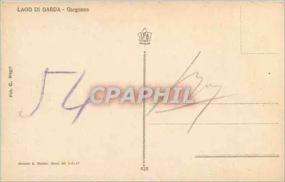 Lago di Garda - Gargnano — widok z drzewa, wyd. Fot. G. Negri, n° 436 — Rewers