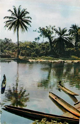 Paisagem africana — rio com canoas e palmeiras — Edições Mexichrome, n° 3455