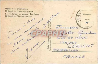 Campos de tulipas — Paisagem holandesa — Gebr. Spanjersberg N.V. Rotterdam Nr. 44 — Verso