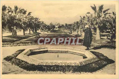 Parque Lyautey — Avenida — Edição Casablanca - 160
