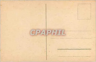 Paisaje rural holandés — vacas y iglesia — texto impreso 'Mooi Nederland' — Reverso