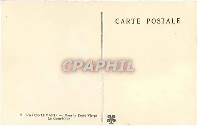 Kapusta — W Puszczy Wilgotnej — L'Aven-Armand — Rewers