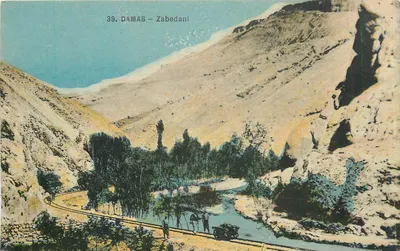 Damas – Zabedani — Sarratian Bros. n°39
