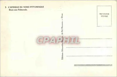 Oran — Dentro de uma Palmeraie — Éditions Alexandre Mareau — Verso
