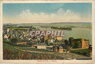 Rüdesheim a. Rhein — vista panorâmica com castelo e ponte — editor não identificado
