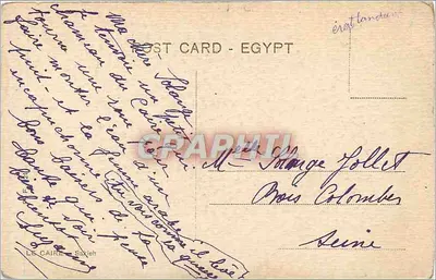 Rysunek kamla w Sakleh — Kair — Sakleh — Rewers
