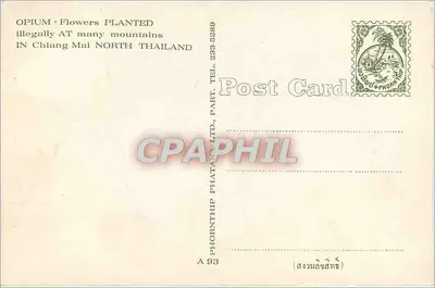 Tulipany czerwone — nielegalna plantacja opium — Phornthip Phatana Ltd, seria A93 — Rewers