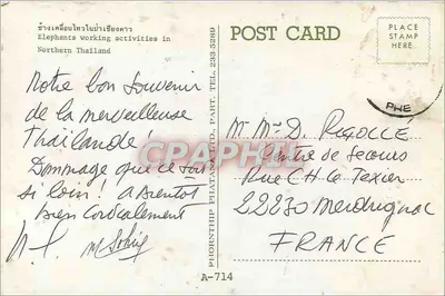 Elefantes em atividade — Tailândia do Norte — Phornthip Phatana Ltd. A-714 — Verso