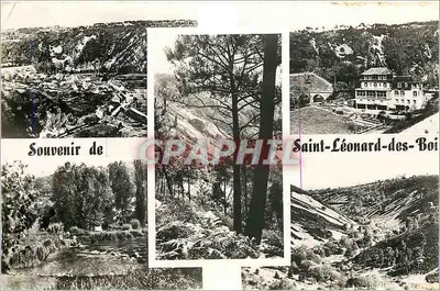 Saint-Léonard-des-Bois — vista panorâmica, floresta, hotel — Combier Imprimeur