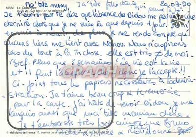 Dois cavalos brancos — A Camargue — edições da França — Verso