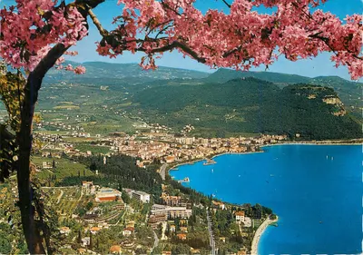 Lago di Garda — vista panorâmica com cerejeiras em flor — editor Ross