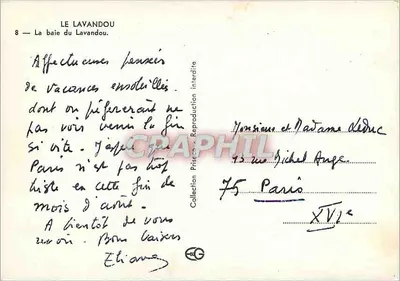 Le Lavandou — Zdjęcie z lotu nad plażą Lavandou — kolekcja Pristeo — Rewers