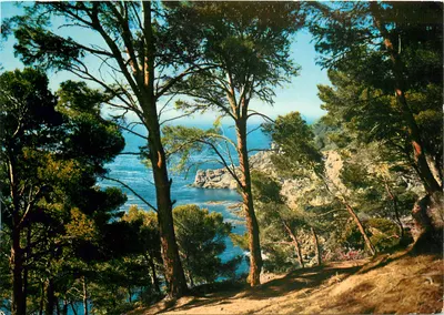 A Costa do Azul — ILE DE PORQUEROLLES (Var) — Les Éditions « MAÏS »