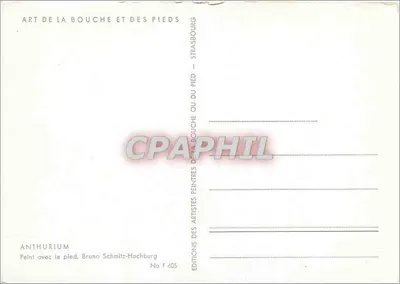 Anthurium — Namalowane nogą — Wydawnictwo Bruno Schmitz-Hochburg, Nr F 605 — Rewers