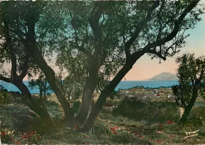 A Costa Azul — Vista sobre Cannes e o Golfo da Napoule — Les Éditions « MAR »