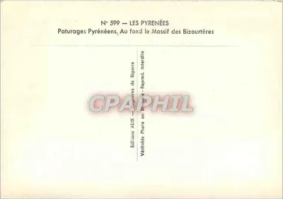 Pasterze Pyreńskie — W tle Massif des Bizourtères — Wydawnictwo ALIX — Rewers