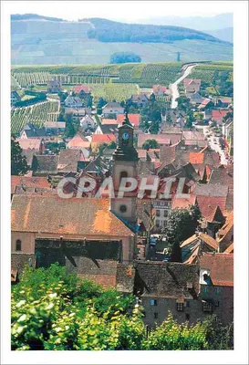 Riquewihr — vista aérea do vilarejo e das vinhas