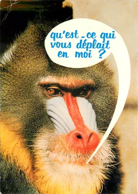 Mandrill — Rosto de macaco — J. Combier, Impressor em Mâcon
