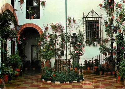 Marbella (Costa del Sol) — Pátio Típico — Postais Costa del Sol N° 438