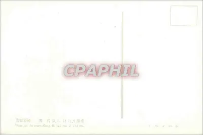 Waza do wina z ceramiki dynastii Song — Ceramika z dynastii Song — Rewers