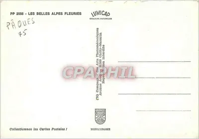 Piękne Alpy kwitnące — PP 2556 — wydawca LUMICAP — Rewers